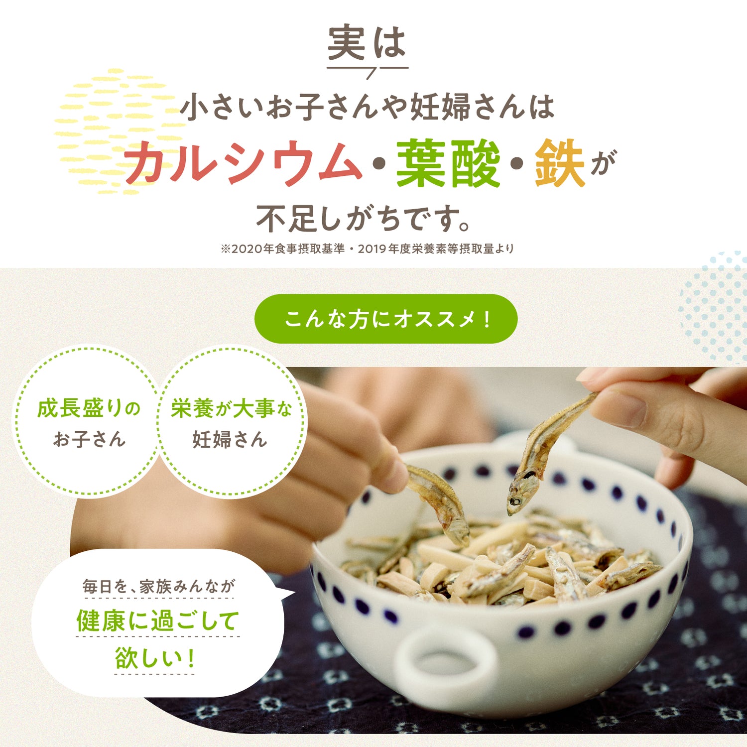 へそのやコラボ　おやこdeいりこ＆ハンカチセット